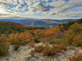 Couleurs d'automne