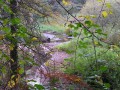 Couleurs d'automne