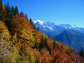 Couleurs d’automne