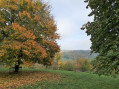 Couleurs d'automne