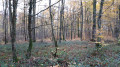 Couleurs d'automne