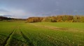 Le Moulin Brûlé et le Bois des Cailloux