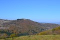 Couleurs d'automne