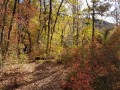 Couleurs d'automne Couleurs d'automne