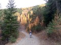 Couleurs d'automne