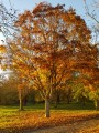 Couleurs d'automne