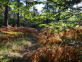 Couleurs d'automne Couleurs d'automne