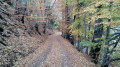 Couleurs d'automne Couleurs d'automne