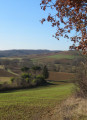 Couleurs d'hiver