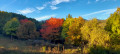 Couleurs d'octobre