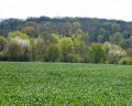 Couleurs de printemps