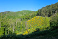 Col de la Luère et Col de la Croix du Ban au départ de Pollionnay