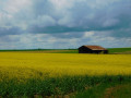 Couleurs de printemps