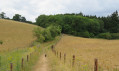 Marlow Common, Chilterns