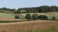 Countryside near Kimpton