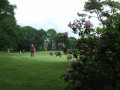 Coup d'oeil sur le golf