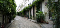 Cour Damoye