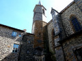 Courette