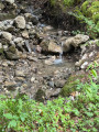 Cours d'eau dans la for&ecirc;t &agrave; la mont&eacute;e
