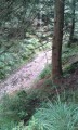 Cours d'eau