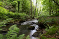 cours d'eau