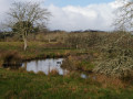 Cours d'eau