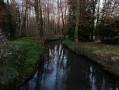 Cours d'eau