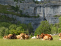 Malham Tarn and Cove via the bio-diverse pastures under Pikedaw Hill.