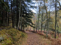 Divach Falls via Craigmonie and Balmacaan Woods