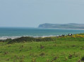 Autour du Cap Gris-Nez