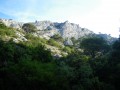 Crâne de Colombier