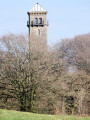 Cranmore Tower through the woods