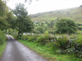 Cregagh Wood
