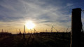 Crépuscule Crépuscule