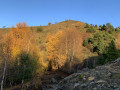 Crête de la Punta Narronal