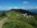 Tour du Petit Ballon par Buchwald