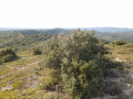 Crêtes de Castillon - Rognes