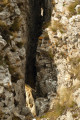 Crevasses et petite arche dans le rocher
