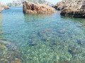 Cove