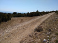 Croisée des chemins