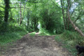 Croisement de chemins