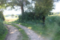 Croisement de chemins