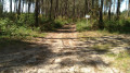 Croisement de chemins