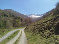 Croisement de pistes