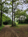 Croisement de chemins.