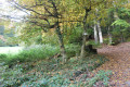 Croisement du circuit avec le chemin direct de Drachenbronn Croisement du circuit avec le chemin direct de Drachenbronn