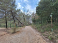 croissement point 4