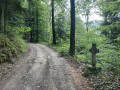Croix au bord du chemin forestier