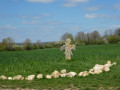 Croix des Friches
