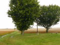 Croix du Grand Orme